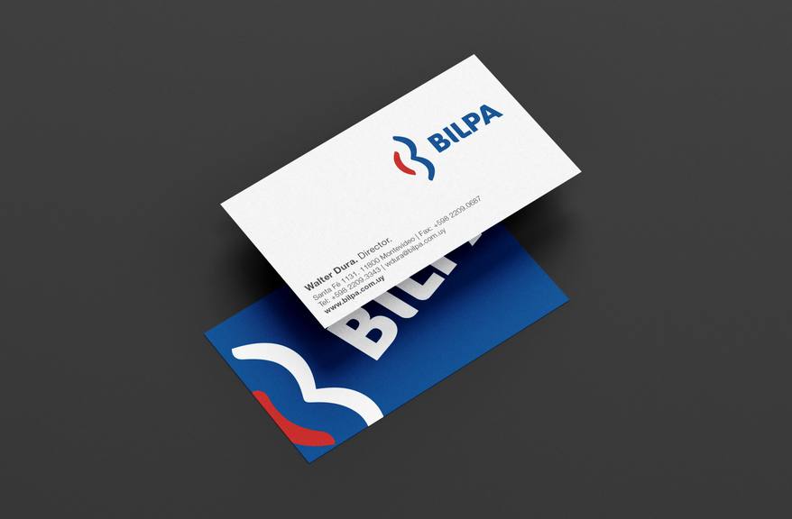 Bilpa — Brand architecture to organize and empower your growth — imagen 2