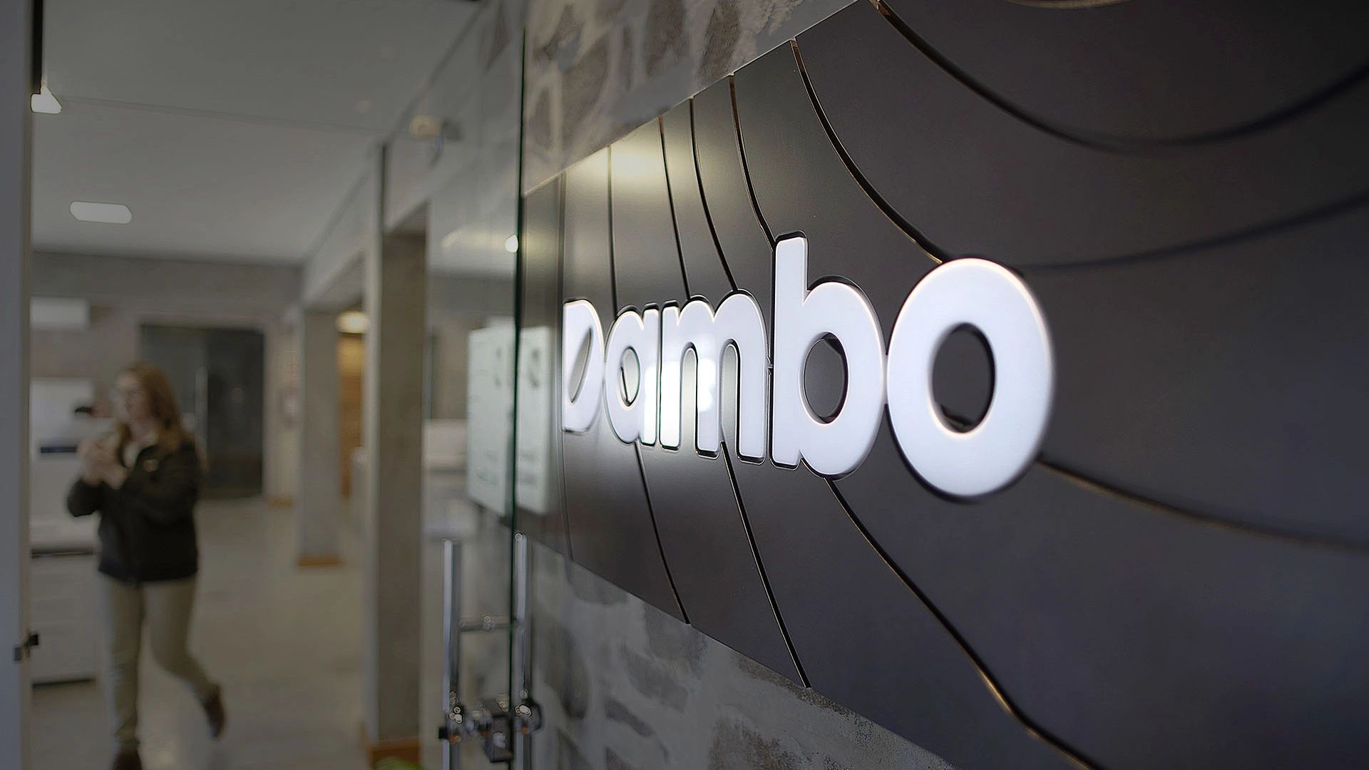 Dambo — Desarrollo de marca inspirado en el origen arrocero de la compañía — imagen 3