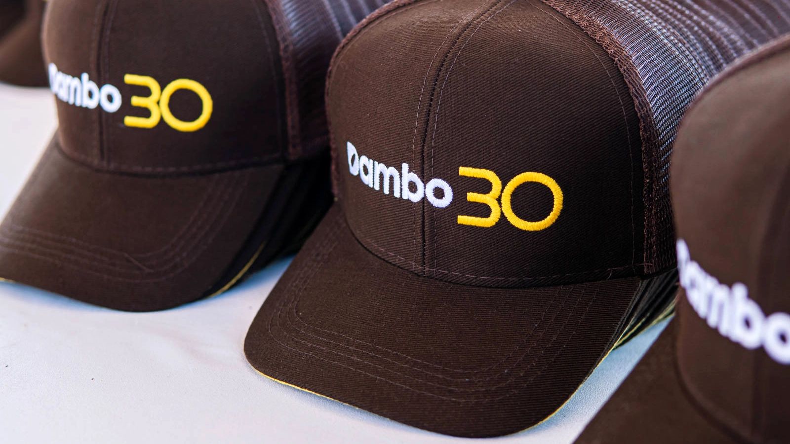 Dambo — Desarrollo de marca inspirado en el origen arrocero de la compañía — imagen 4