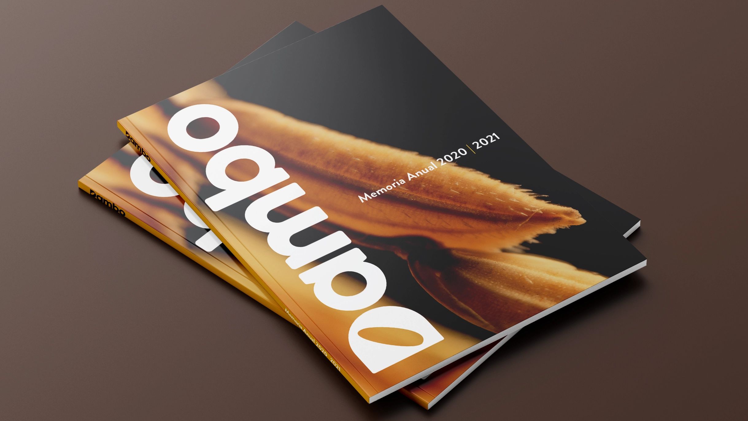 Dambo — Desarrollo de marca inspirado en el origen arrocero de la compañía — imagen 3