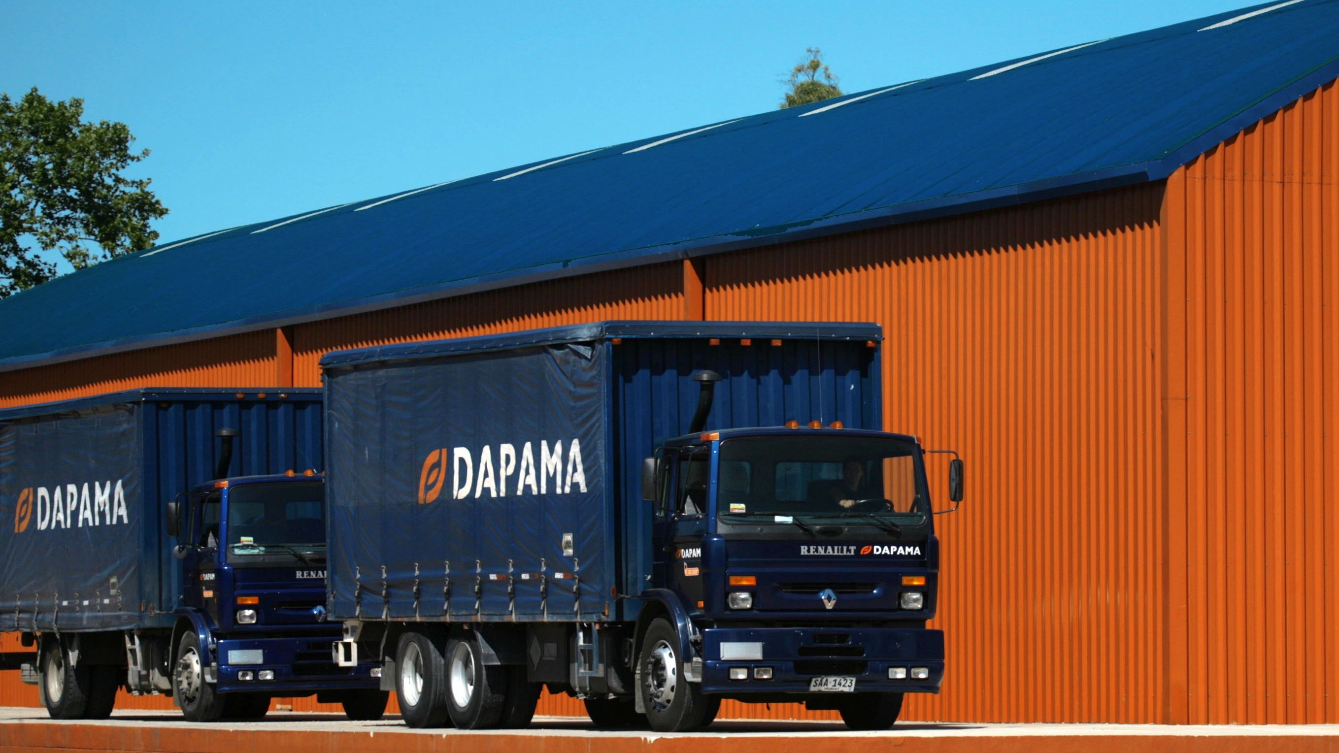 Dapama — Uma marca construída a partir do seu conceito — imagen 2