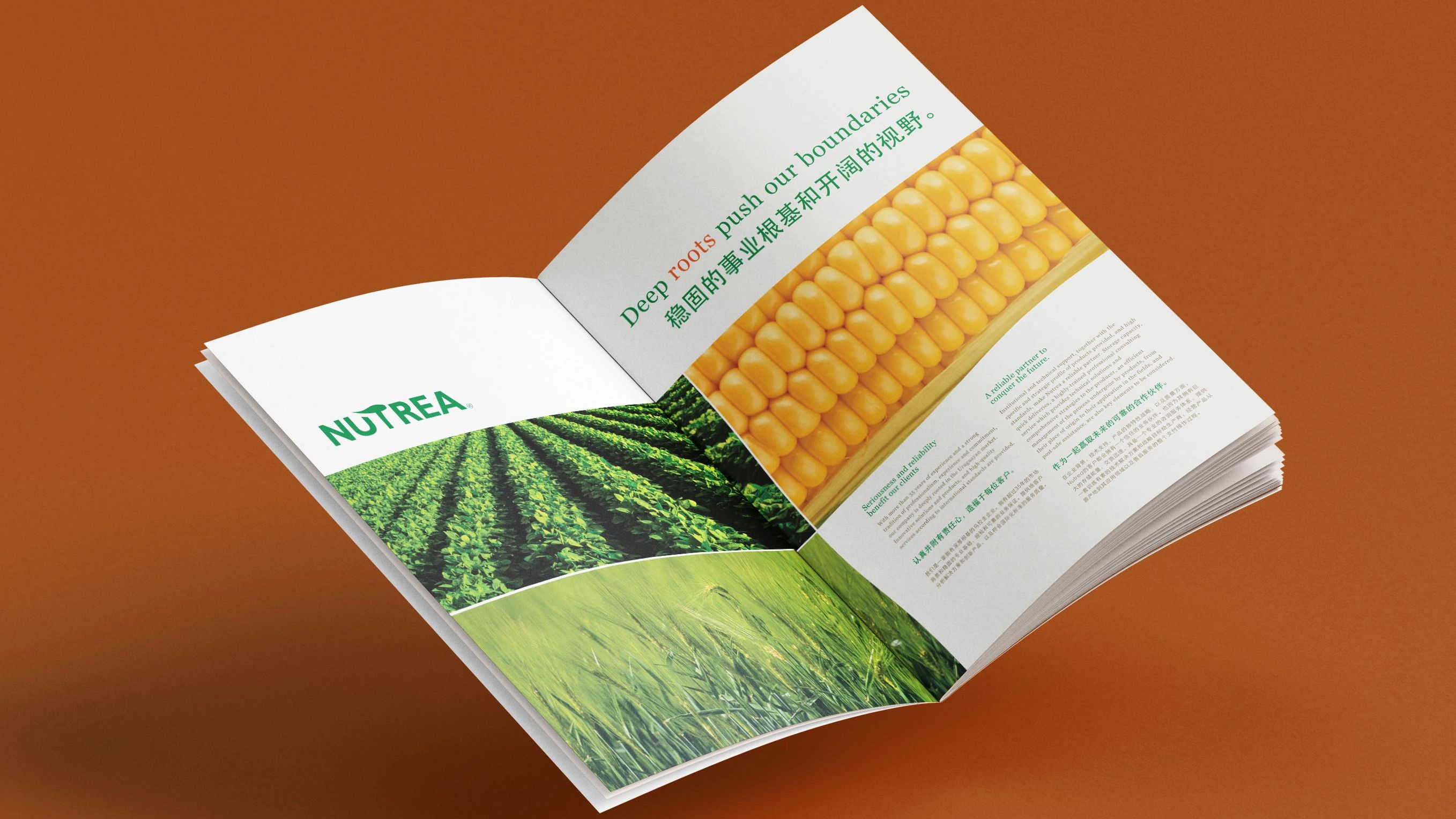 Nutrea — Nutrição inteligente para potencializar resultados — imagen 2