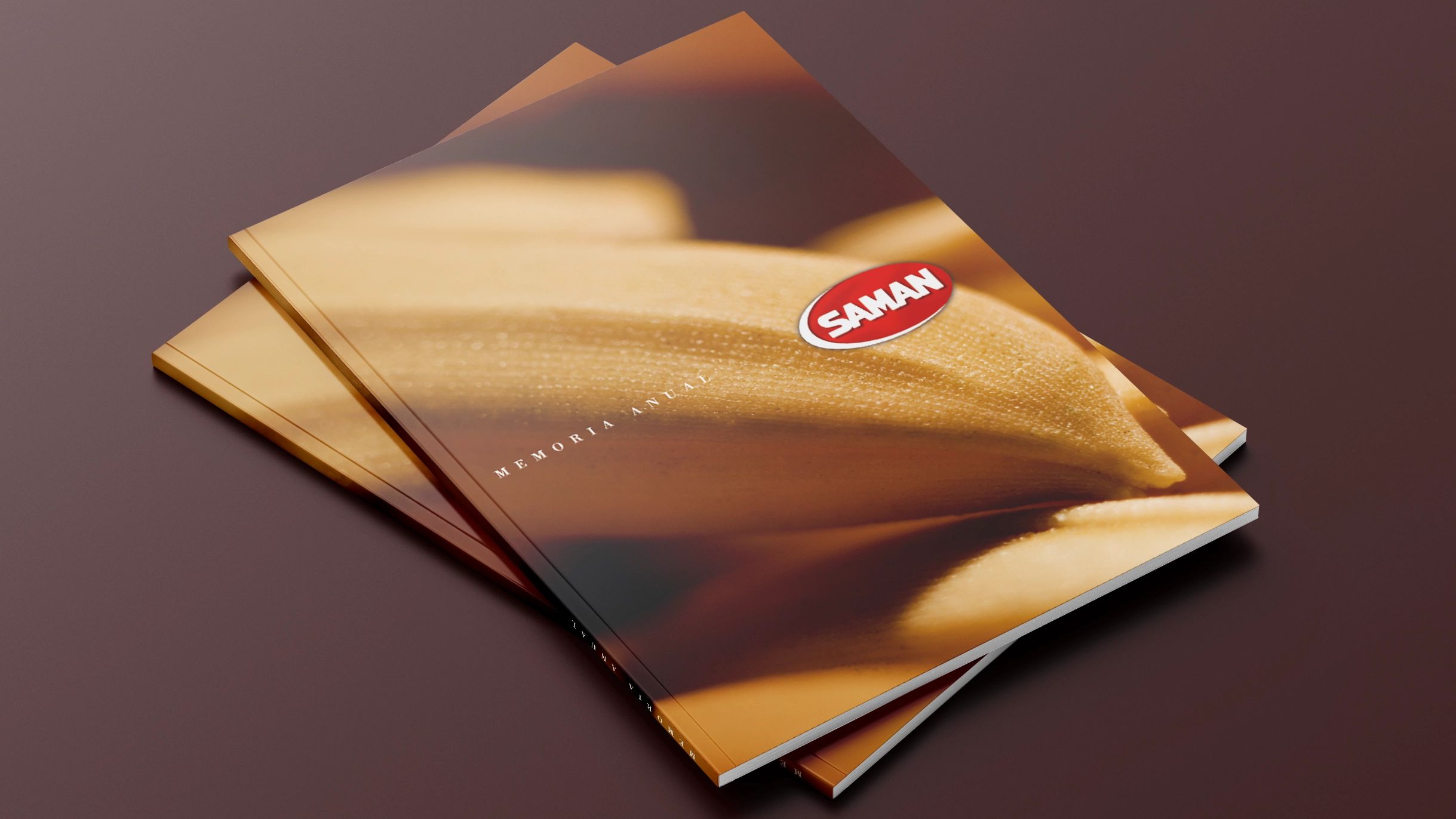 SAMAN — Marca Líder, Construção Conjunta — imagen destacada
